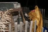 Отец Сергий освятил колодец на улице Жукова в Камень-Рыболове
