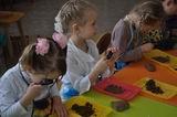 На занятии ребята рассматривали сквозь лупу частички земли, проводили опыты с глиной и песком
