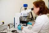 Ранняя диагностика онкозаболевания даёт человеку шанс на выздоровление